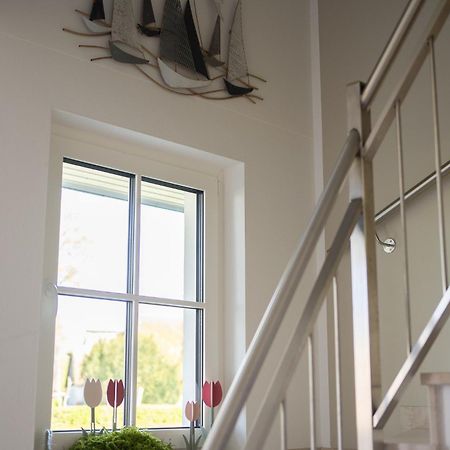Ilex Appartements بون المظهر الخارجي الصورة