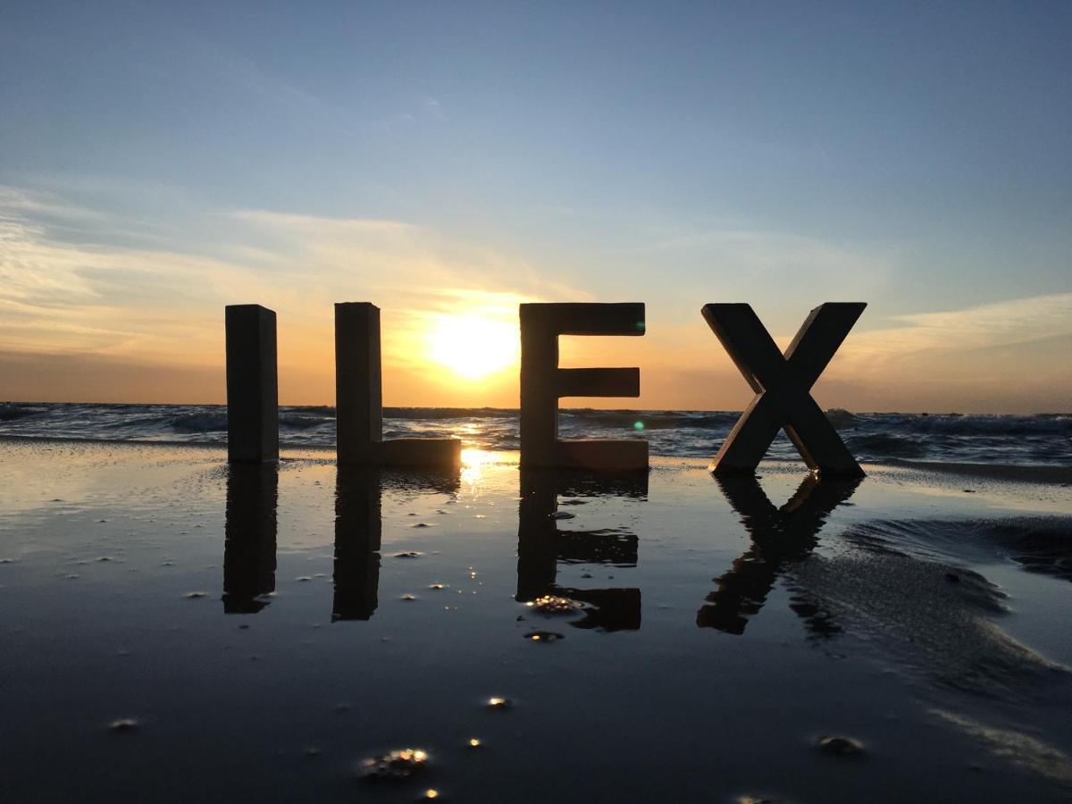 Ilex Appartements بون المظهر الخارجي الصورة